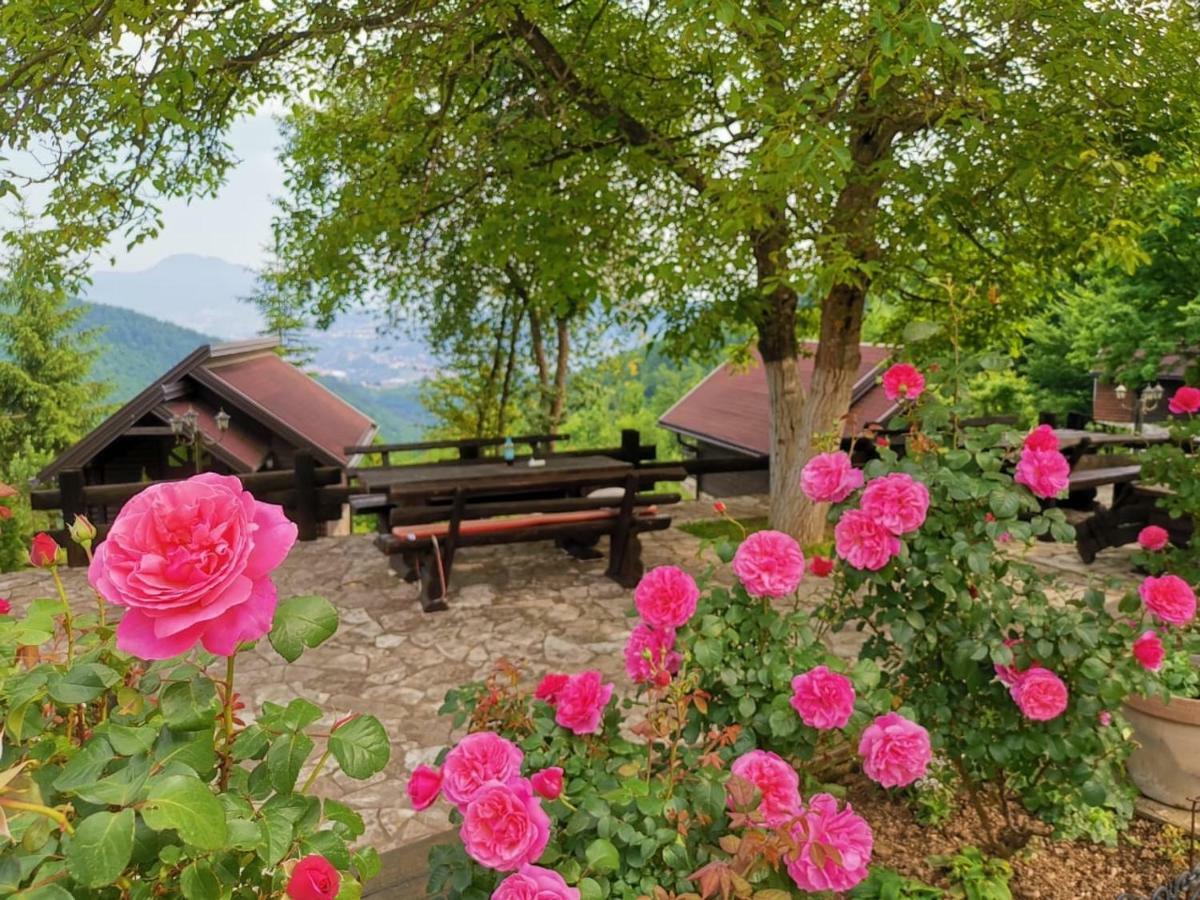 Resort Zafaran By H&H Sarajewo Zewnętrze zdjęcie